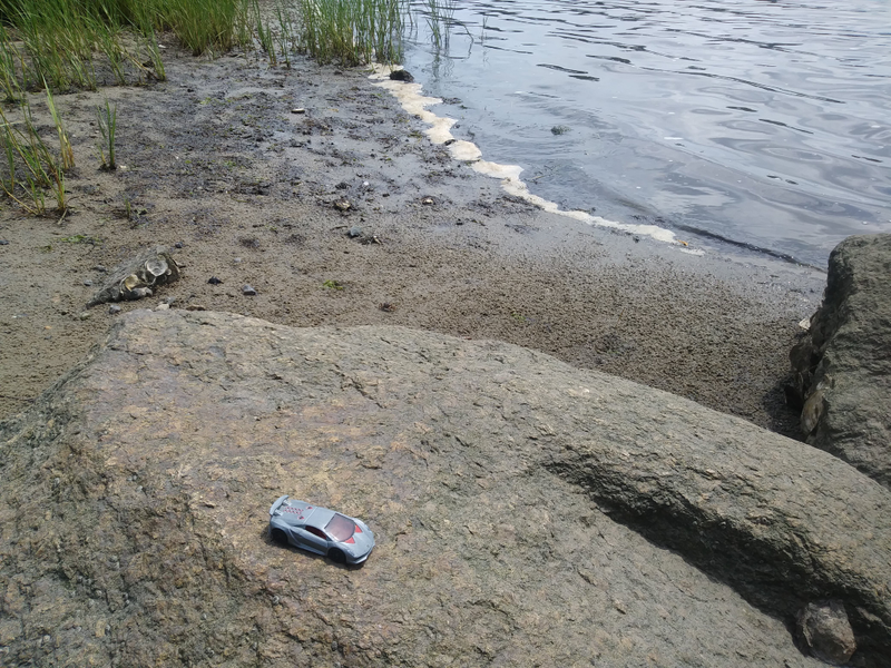 Can you see the little crab on the shore? There were a whole bunch of ‘em wandering around. So cute!